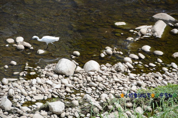 1老街溪 7.JPG 1老街溪 7.JPG