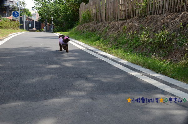 1老街溪 26.JPG 1老街溪 26.JPG