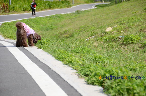 1老街溪 5.JPG 1老街溪 5.JPG