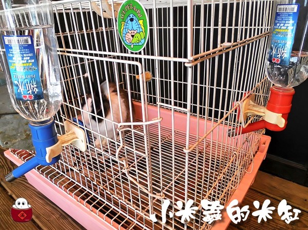 【捷運國父紀念館站】紅蟹將軍-頂級帝王蟹火鍋串燒吃到飽