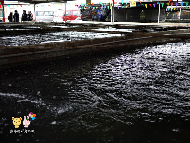 金門水產試驗所-金門自助行看鱟趣