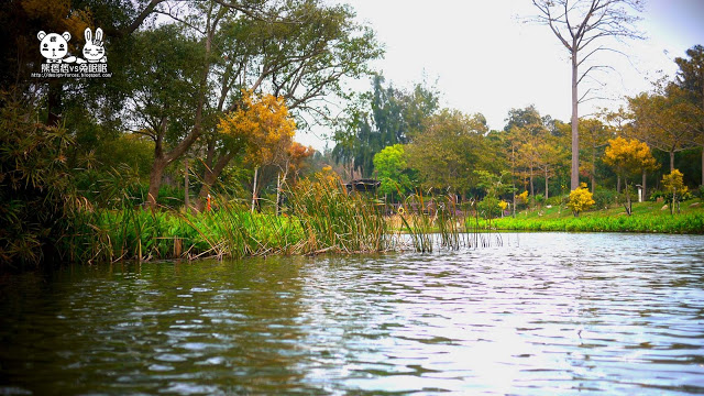 【金門植物園】擁抱自然-尋找森林神祕小木屋