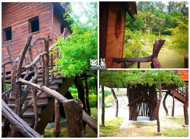 【金門植物園】擁抱自然-尋找森林神祕小木屋