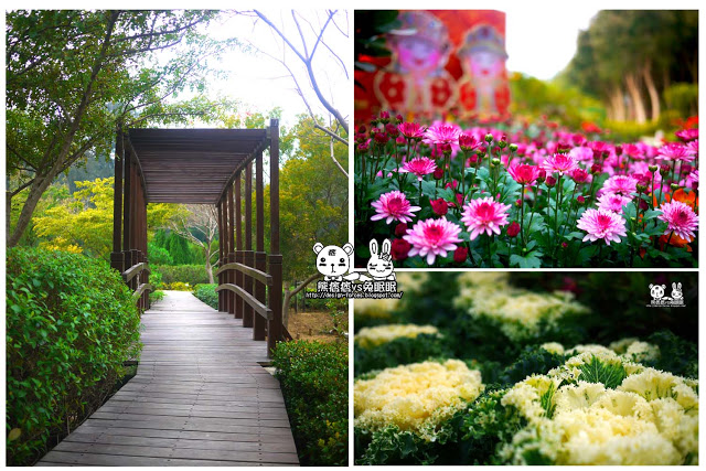 【金門植物園】擁抱自然-尋找森林神祕小木屋