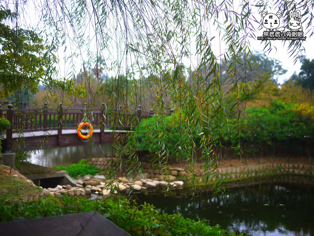 【金門植物園】擁抱自然-尋找森林神祕小木屋