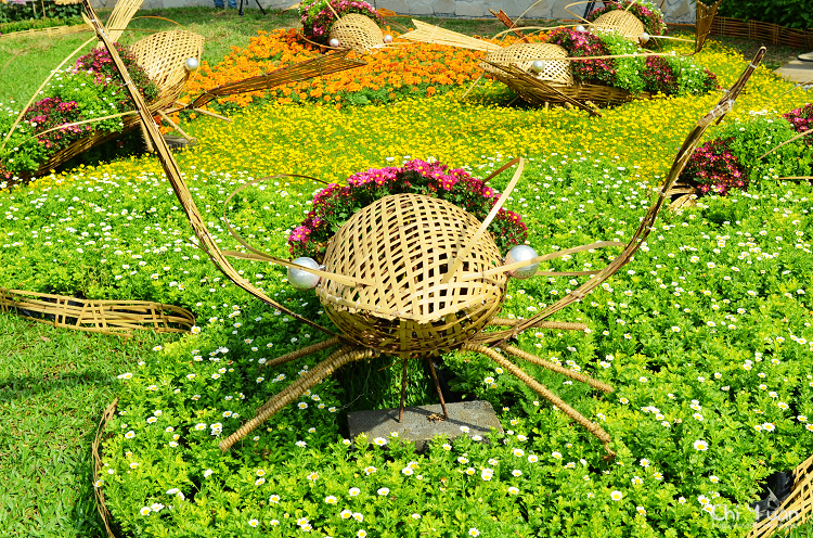 2013士林官邸菊展11.jpg 2013士林官邸菊展11.jpg