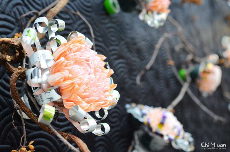 2013士林官邸菊展24.jpg 2013士林官邸菊展24.jpg