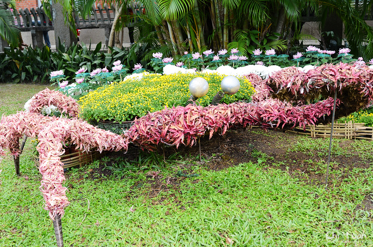 2013士林官邸菊展10.jpg 2013士林官邸菊展10.jpg