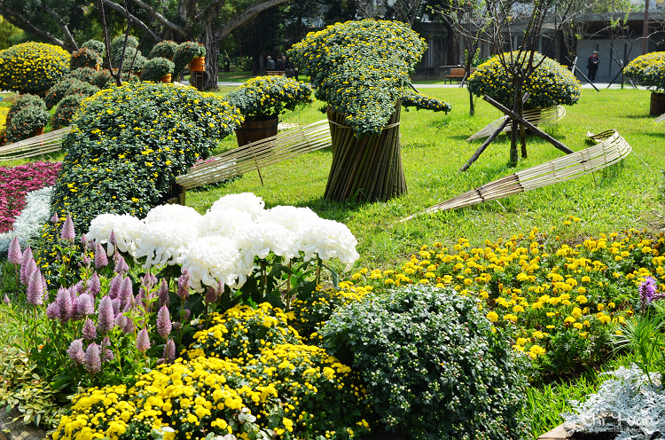 2013士林官邸菊展09.jpg 2013士林官邸菊展09.jpg