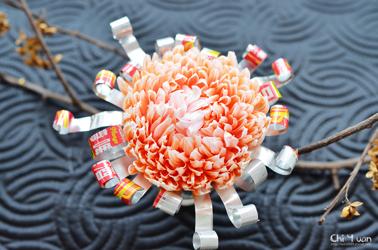 2013士林官邸菊展23.jpg 2013士林官邸菊展23.jpg