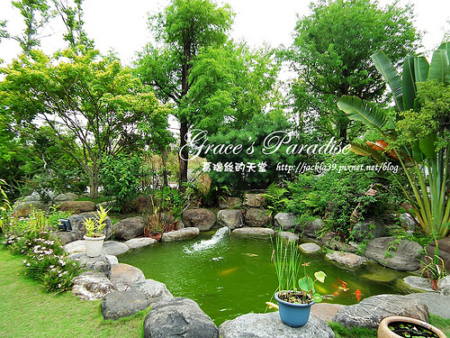 DSCF0160_nEO_IMG DSCF0160_nEO_IMG