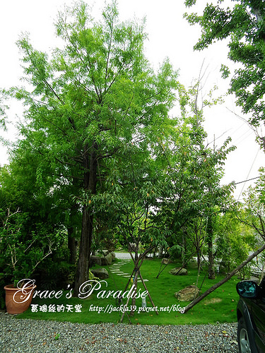 DSCF0243_nEO_IMG DSCF0243_nEO_IMG