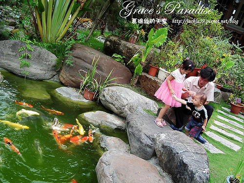 DSCF0178_nEO_IMG DSCF0178_nEO_IMG