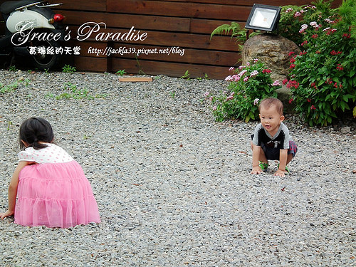 DSCF0246_nEO_IMG DSCF0246_nEO_IMG