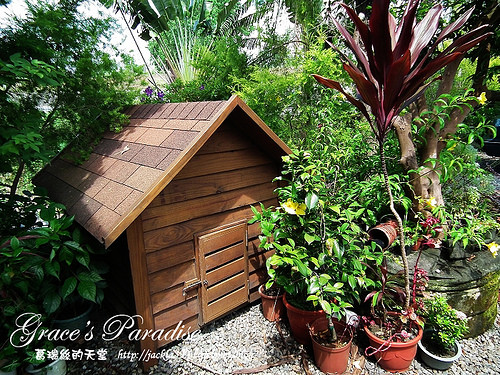 DSCF0451_nEO_IMG DSCF0451_nEO_IMG