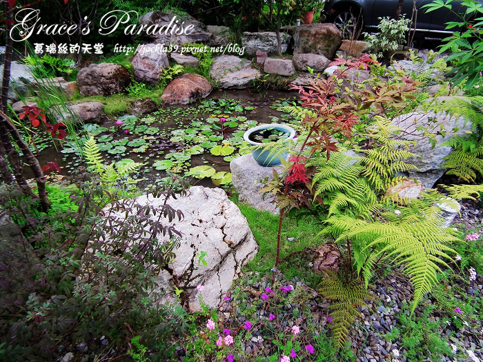 DSCF0081_nEO_IMG DSCF0081_nEO_IMG