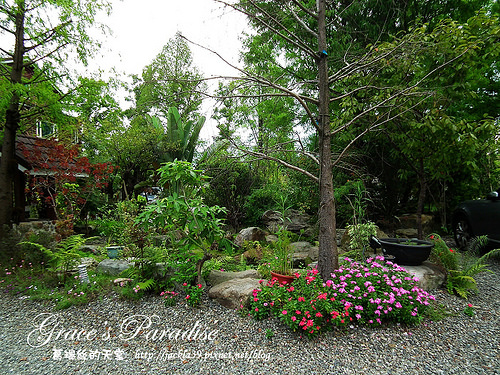 DSCF0080_nEO_IMG DSCF0080_nEO_IMG