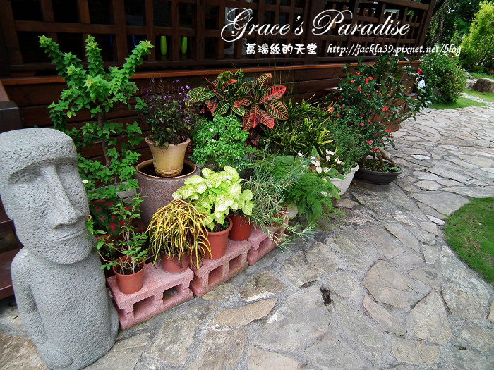 DSCF0158_nEO_IMG DSCF0158_nEO_IMG