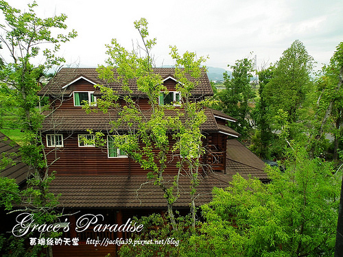 DSCF0106_nEO_IMG DSCF0106_nEO_IMG