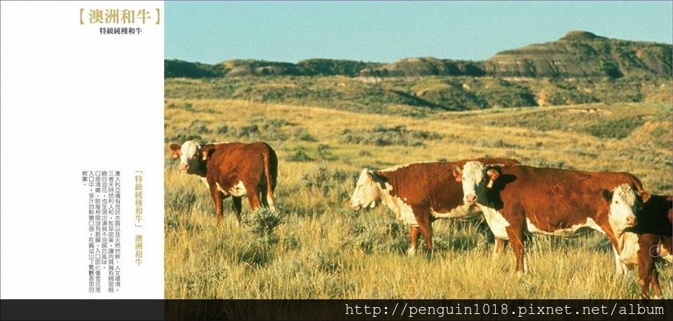 15965481_1501107999918825_680976911680210060_n