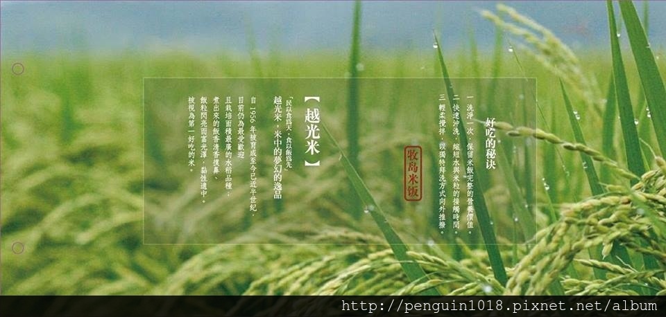 16105662_1501107879918837_875632638490539369_n