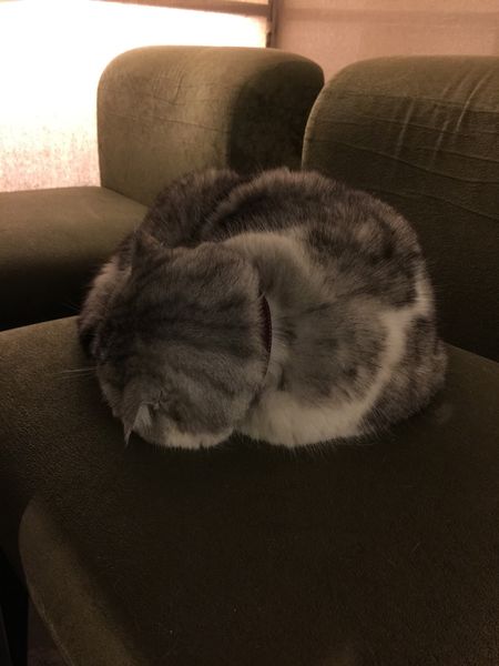 2015-12-13 19.13.06.jpg