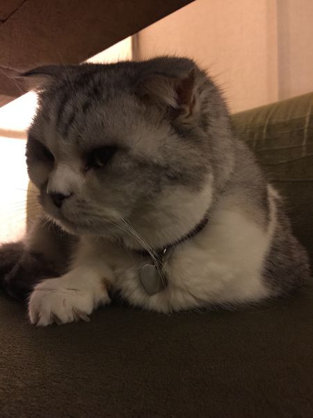 2015-12-13 19.14.01.jpg