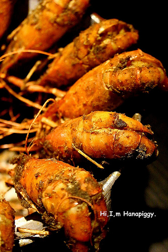 鼎讚活蝦料理(38)