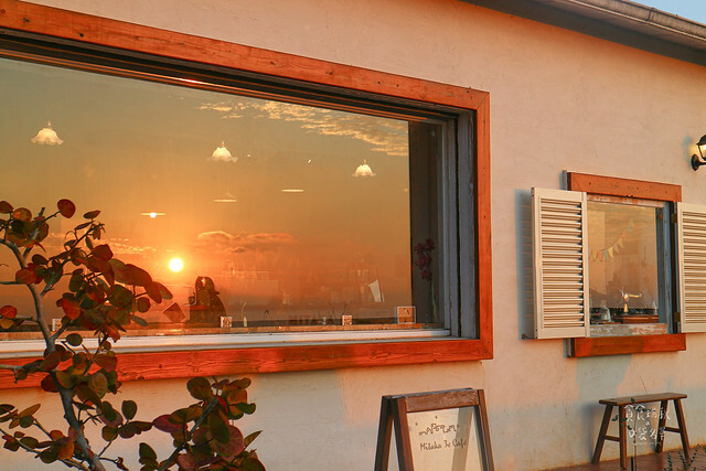 【台中景點】沙鹿。夕陽西下。無敵夜景。秋冬整排落羽松美不勝收｜MITAKA 3e CAFE