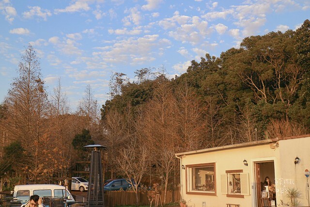 【台中景點】沙鹿。夕陽西下。無敵夜景。秋冬整排落羽松美不勝收｜MITAKA 3e CAFE