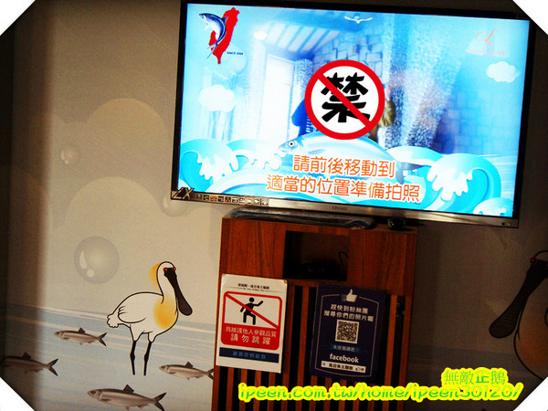 虱目魚主題館(府城館)：【台南-安平】假日遊玩好去處!《虱目魚主題館》