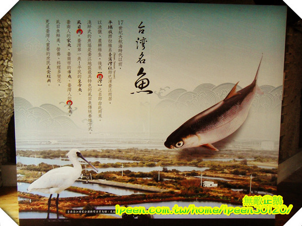 虱目魚主題館(府城館)：【台南-安平】假日遊玩好去處!《虱目魚主題館》