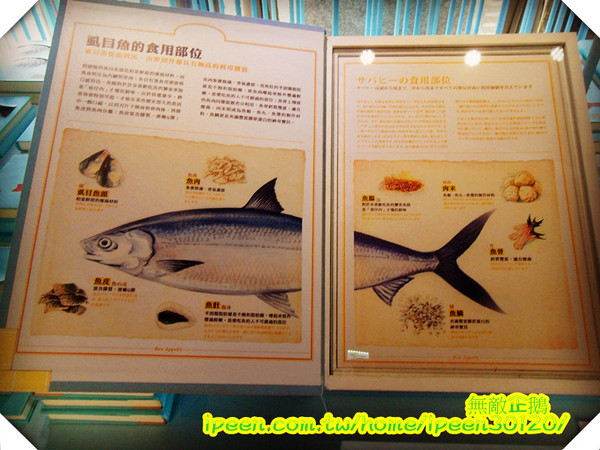 虱目魚主題館(府城館)：【台南-安平】假日遊玩好去處!《虱目魚主題館》