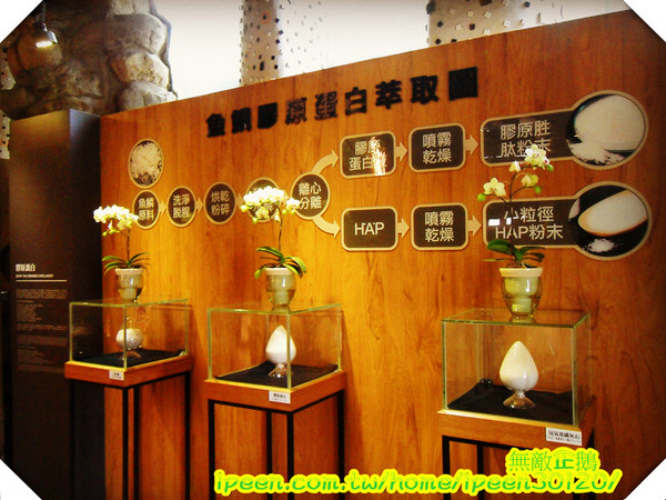 虱目魚主題館(府城館)：【台南-安平】假日遊玩好去處!《虱目魚主題館》