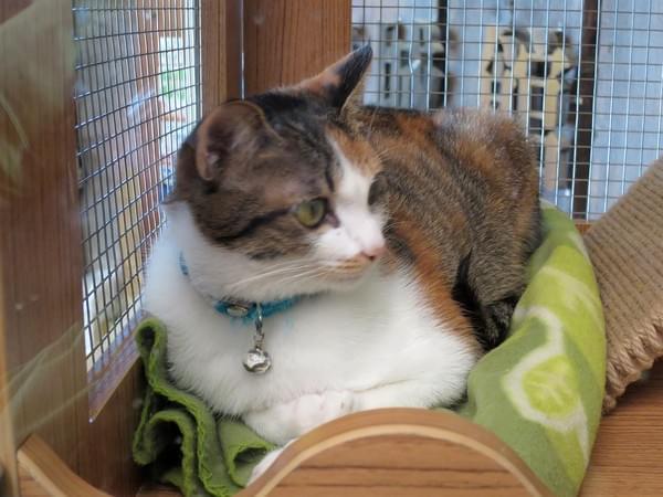 154c0951c35259.jpg 154c0951c35259.jpg