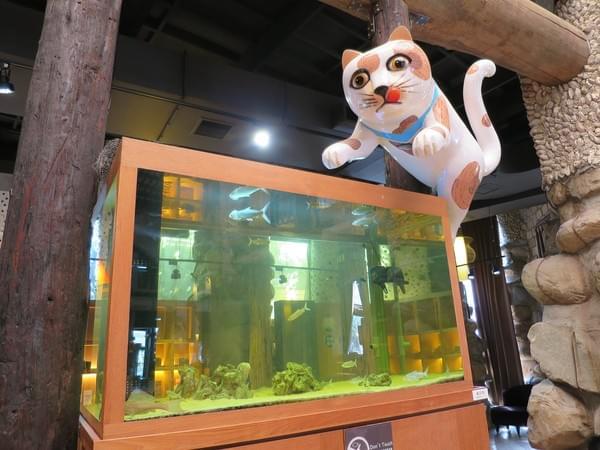 154c0938be36d9.jpg 154c0938be36d9.jpg