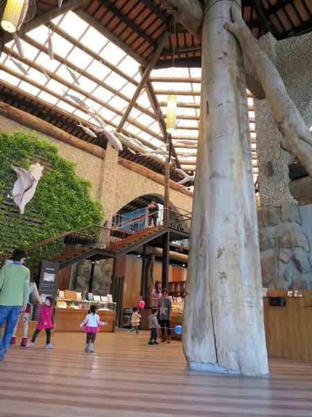 154c09189d703e.jpg 154c09189d703e.jpg