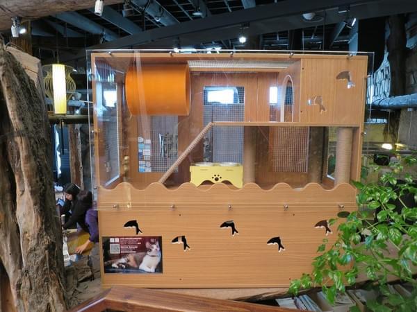 154c093428a7b1.jpg 154c093428a7b1.jpg