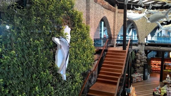 154c096c9a1dd7.jpg 154c096c9a1dd7.jpg