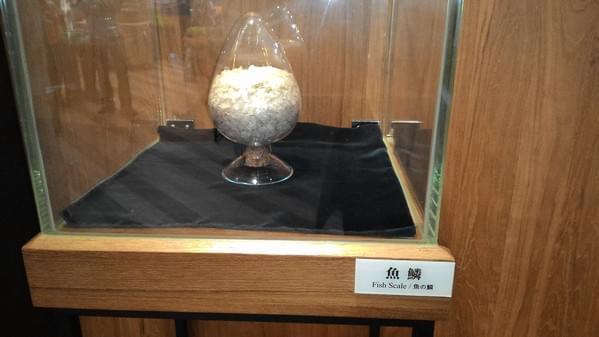 154c0966b8d508.jpg 154c0966b8d508.jpg