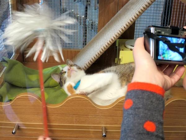 154c094098186d.jpg 154c094098186d.jpg