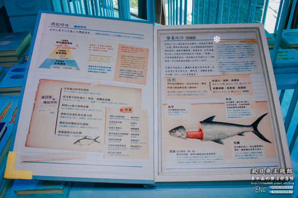 虱目魚主題館(府城旗艦店) | 台南市/安平區 (台南小旅行，必遊觀光工廠景點推薦)