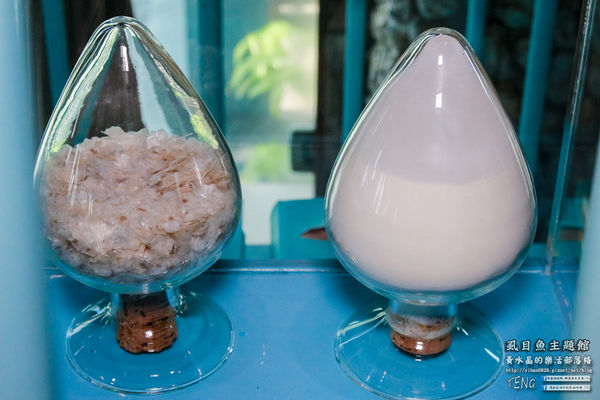 虱目魚主題館(府城旗艦店) | 台南市/安平區 (台南小旅行，必遊觀光工廠景點推薦)