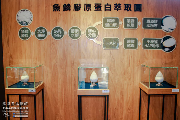 虱目魚主題館(府城旗艦店) | 台南市/安平區 (台南小旅行，必遊觀光工廠景點推薦)