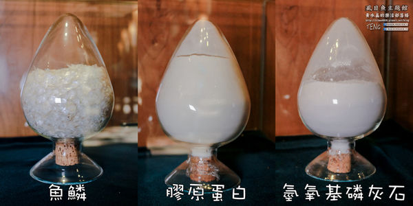 虱目魚主題館(府城旗艦店) | 台南市/安平區 (台南小旅行，必遊觀光工廠景點推薦)