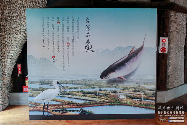 虱目魚主題館(府城旗艦店) | 台南市/安平區 (台南小旅行，必遊觀光工廠景點推薦)