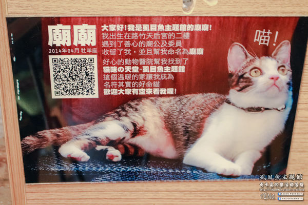 虱目魚主題館(府城旗艦店) | 台南市/安平區 (台南小旅行，必遊觀光工廠景點推薦)