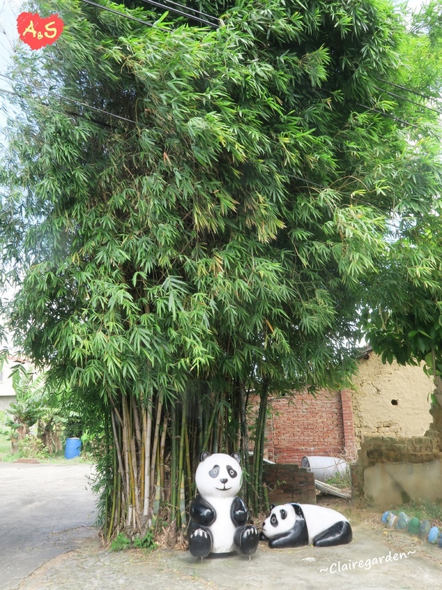 IMG_6788.JPG IMG_6788.JPG