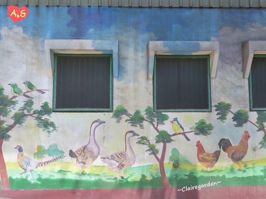 IMG_6873.JPG IMG_6873.JPG