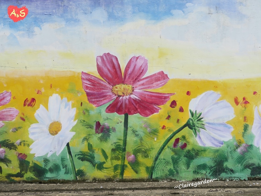 IMG_6857.JPG IMG_6857.JPG